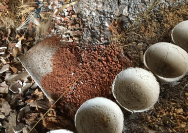 A line of unfired ceramic bowls are sitting on a ground of red earth, paper shreds, moss and small stones.