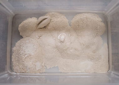 Porcelain clay slaking down in water.
