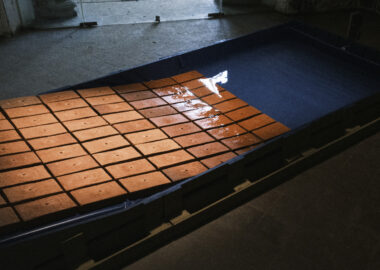 Raverina's Dance Floor by Carolina Garfo